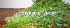 水芹菜有毒吗?人可以吃吗?