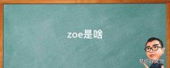 zoe是啥