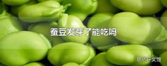 蚕豆发芽了能吃吗