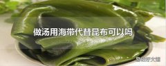 做汤用海带代替昆布可以吗