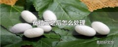 蚕结茧之后怎么处理