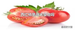 西红柿是感光食物吗