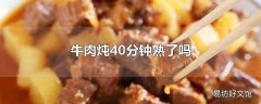 牛肉炖40分钟熟了吗