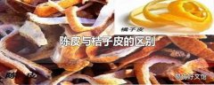 陈皮与桔子皮的区别