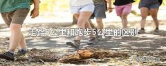 走路5公里和跑步5公里的区别