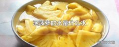 泡菠萝的水是什么水