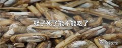 蛏子死了能不能吃了