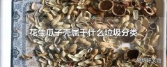 花生瓜子壳属于什么垃圾分类