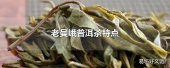 老曼峨普洱茶特点