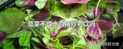 苋菜不焯水直接炒可以吗