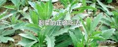 刺菜的正确吃法