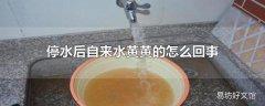 停水后自来水黄黄的怎么回事