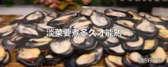 淡菜要煮多久才能熟