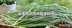 韭菜可以放冰箱保鲜吗