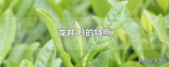 龙井43的特点