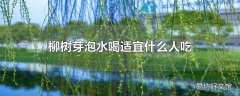 柳树芽泡水喝适宜什么人吃