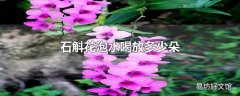 石斛花泡水喝放多少朵