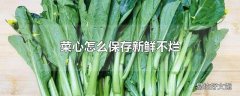 菜心怎么保存新鲜不烂