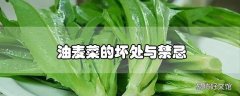 油麦菜的坏处与禁忌