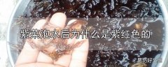 紫菜泡水后为什么是紫红色的