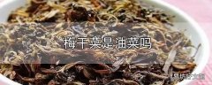 梅干菜是油菜吗