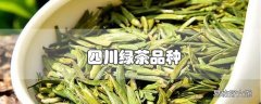 四川绿茶品种