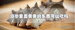 海参里面黄黄的东西可以吃吗