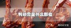 鸭锁骨是什么部位