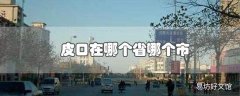 皮口在哪个省哪个市