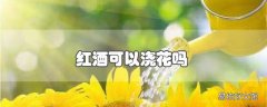 红酒可以浇花吗