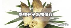 新鲜笋子怎样保存