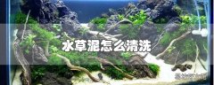 水草泥怎么清洗