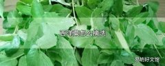 西洋菜怎么摘洗