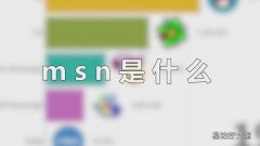 msn是什么