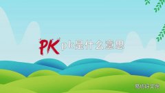 pk是什么意思