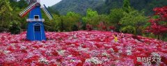 宜宾花海玻璃桥在哪里