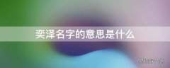 奕泽名字的意思是什么