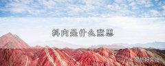 抖内是什么意思