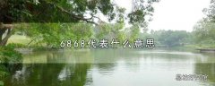 6868代表什么意思