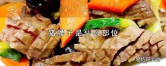 猪腰子是什么部位