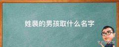 姓裴的男孩取什么名字