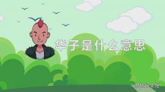 华子是什么意思