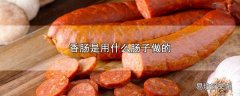 香肠是用什么肠子做的