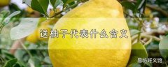 送柚子代表什么含义