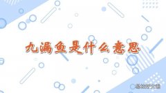 九漏鱼是什么意思