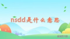 nsdd是什么意思