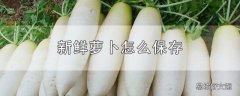 新鲜萝卜怎么保存