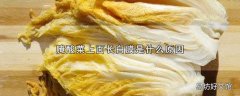 腌酸菜上面长白膜是什么原因