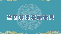 兰因絮果是啥意思