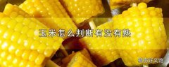 玉米怎么判断有没有熟